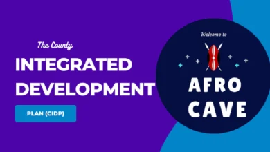 what is county integrated development plan​