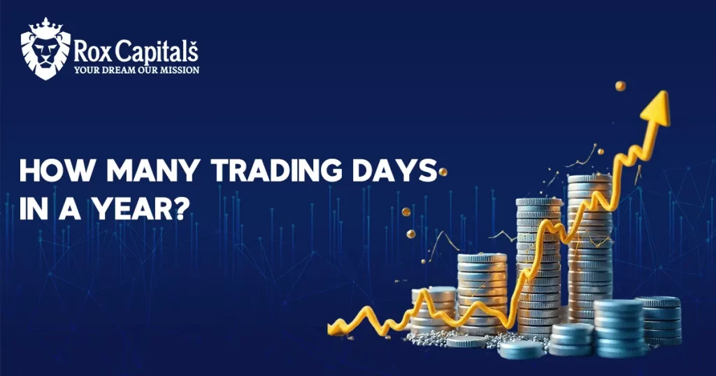 aa 24 hours a day​